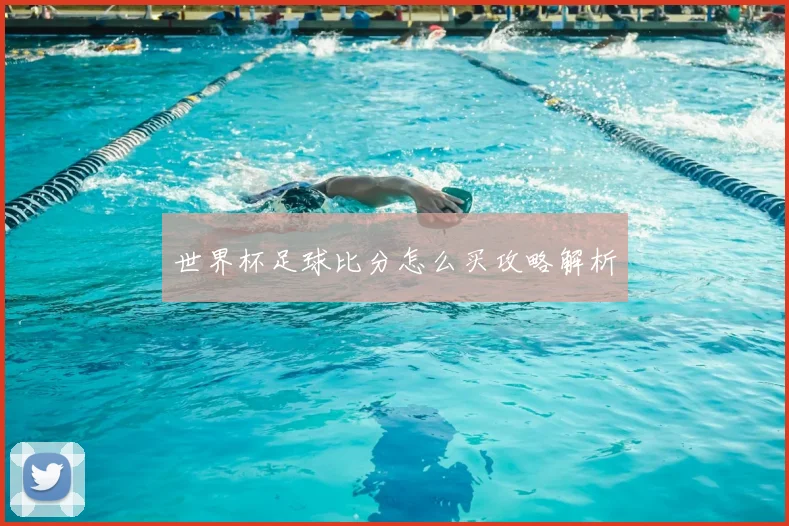 世界杯足球比分怎么买攻略解析