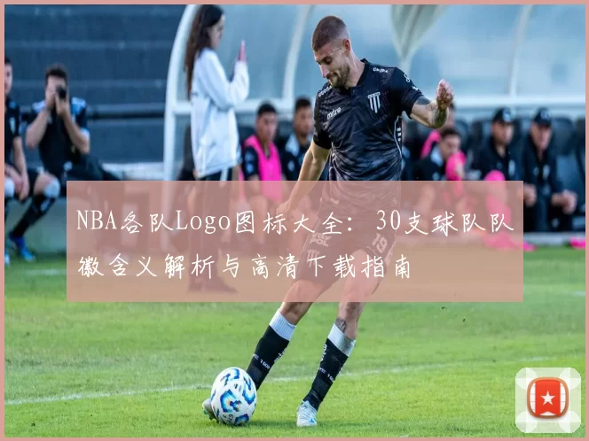 NBA各队Logo图标大全:30支球队队徽含义解析与高清下载指南