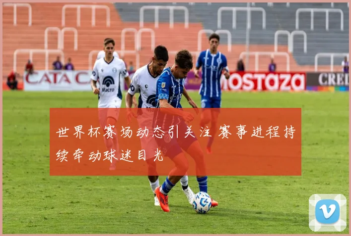 世界杯赛场动态引关注 赛事进程持续牵动球迷目光