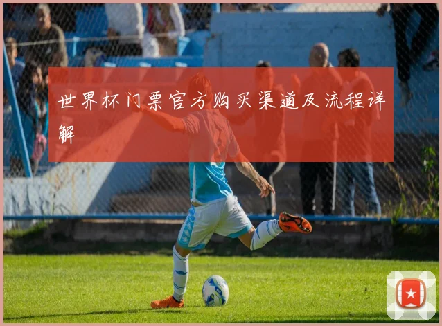 世界杯门票官方购买渠道及流程详解