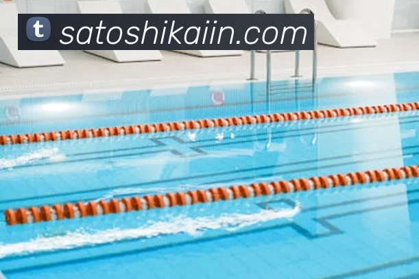 App Interface Preview